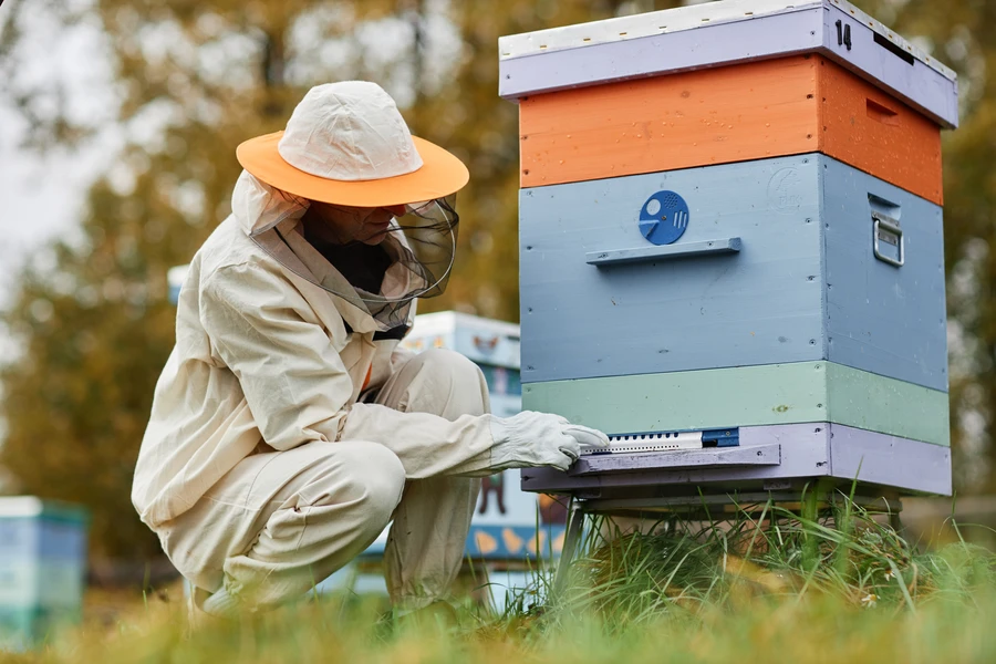 Experienced Bee Control Miami, FL Experienced Bee Control Miami, FL