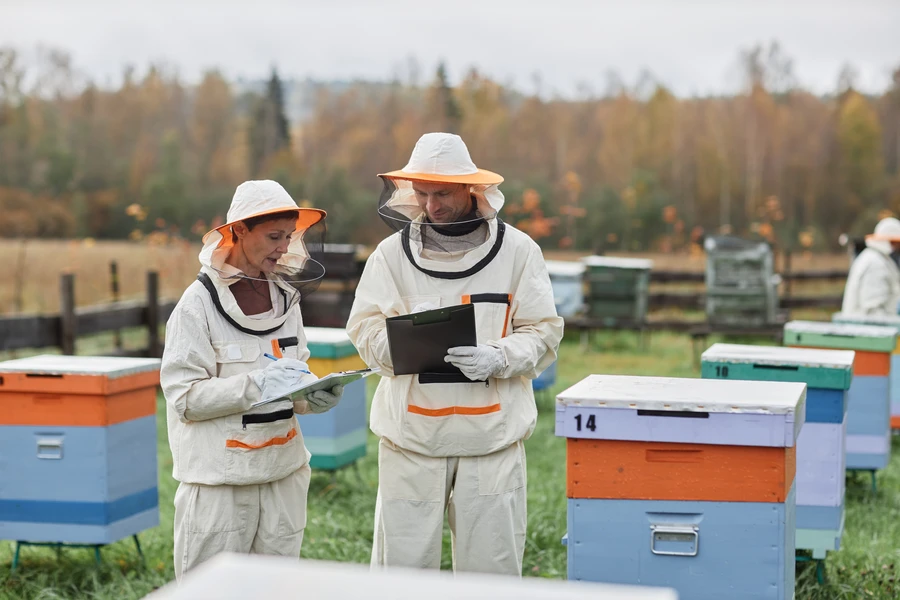 Exploring Modern Techniques In Bee Control Solutions Miami, FL Exploring Modern Techniques In Bee Control Solutions Miami, FL
