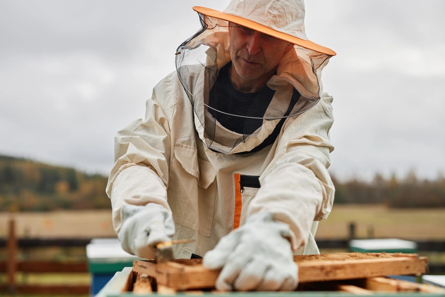 How Bee Rescue Contributes To Community Education Efforts in Miami, FL How Bee Rescue Contributes To Community Education Efforts in Miami, FL