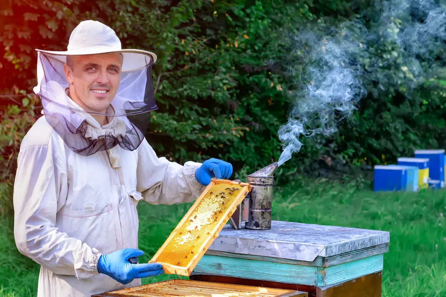 Long-term Solutions To Prevent Bees From Returning Miami, FL Long-term Solutions To Prevent Bees From Returning Miami, FL